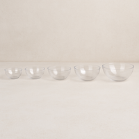 Set von fünf transparenten Acryl-Schalen in verschiedenen Größen von easy-sticks, perfekt für kreative Bastelprojekte und Gießen.