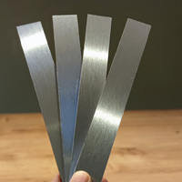 Easy-Sticks silber gebürstet, 4 Stück, UV-beständig, für Innen und Außen Bastelmaterialien
