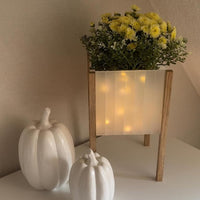 Stylische Pflanzschale, dekoriert mit kleinen Blumen und beleuchtetem Acryl, die Easy-Sticks Acryl Satiniert verwenden, perfekt für die kreative Heimdekoration.