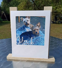 Ein schöner Rahmen Aufsteller für Easy-Sticks Ständer mit einem Bild von zwei Hunden in einem gemütlichen Umfeld. Der Rahmen hebt den Schriftzug 'Glück' hervor und002 zeigt die Vielseitigkeit der Easy-Sticks Produkte von easy-sticks.