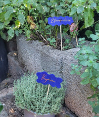 Schlichte und elegante Kräuterschilder aus Filz mit der "89 Gewürze A-Z" Laserdatei von easy-sticks. Perfekt zur Kennzeichnung von Pflanzen im Garten.