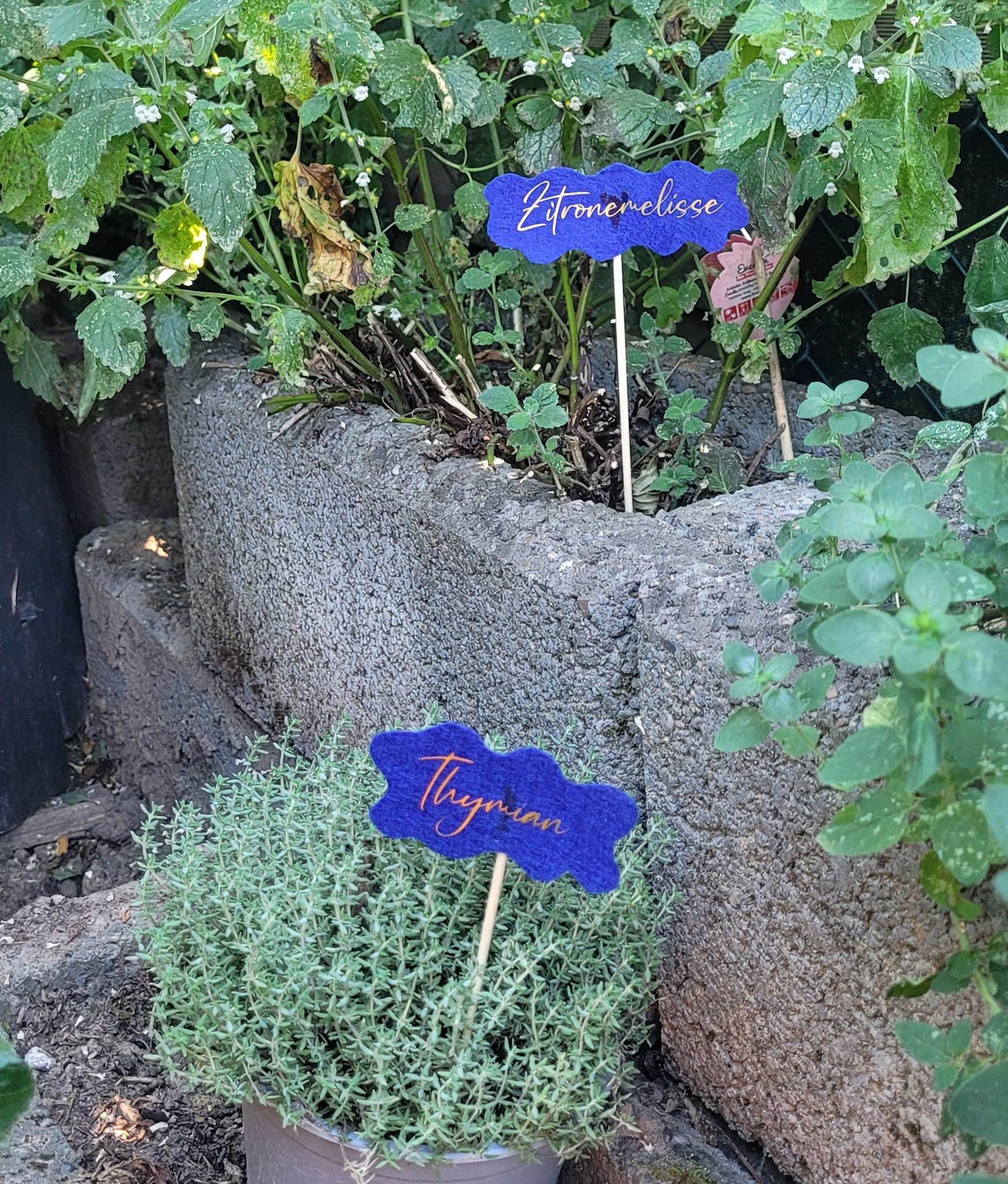 Schlichte und elegante Kräuterschilder aus Filz mit der "89 Gewürze A-Z" Laserdatei von easy-sticks. Perfekt zur Kennzeichnung von Pflanzen im Garten.