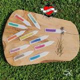 Kreative Verwendung der "89 Gewürze A-Z" Laserdatei von easy-sticks. Schön gestaltete Namensschilder für verschiedene Kräuter, ideal für Garten- oder Küchendekoration.