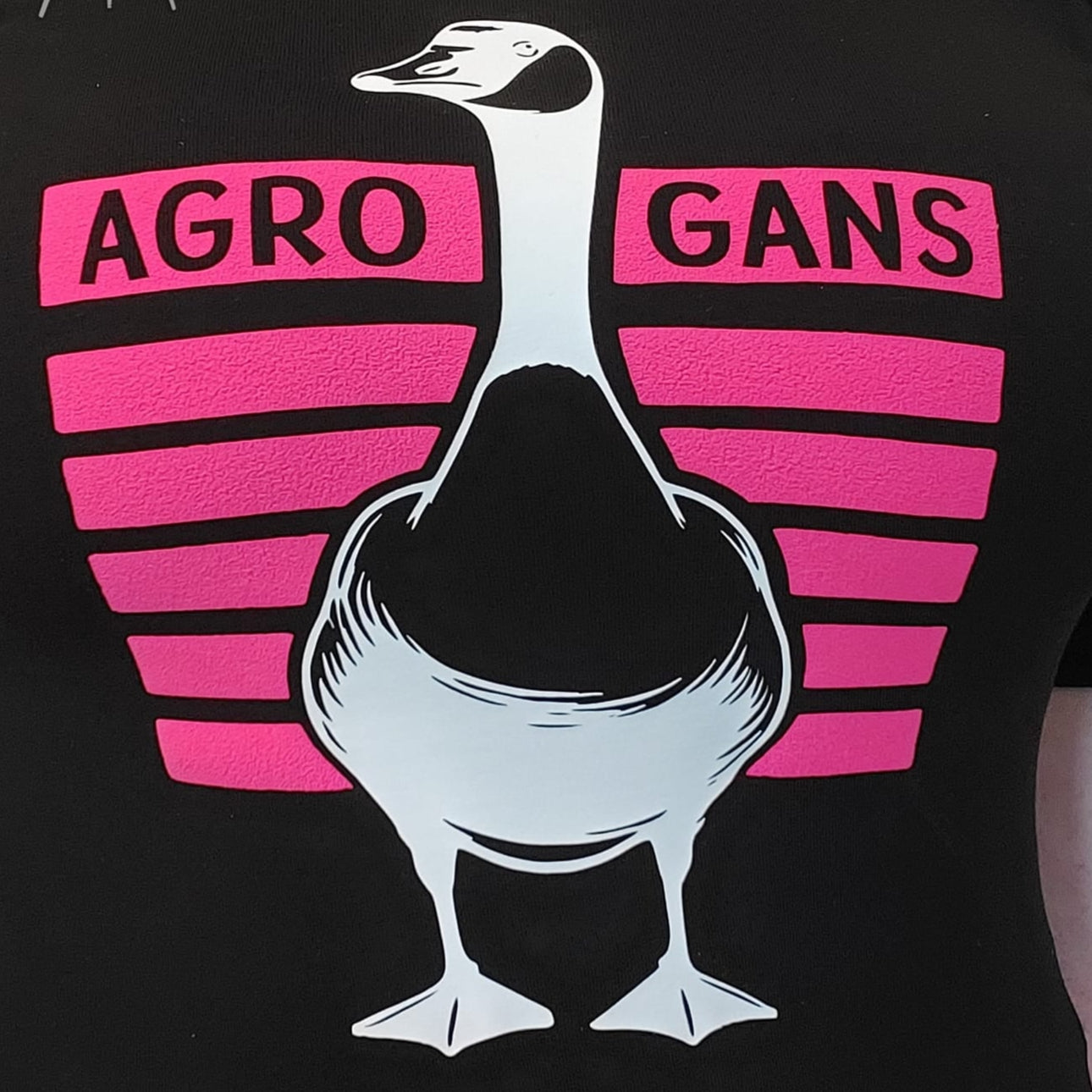 AGRO GANS Plotterdatei Ganz Plotteridee Plotter Ente Idee Plotterliebe