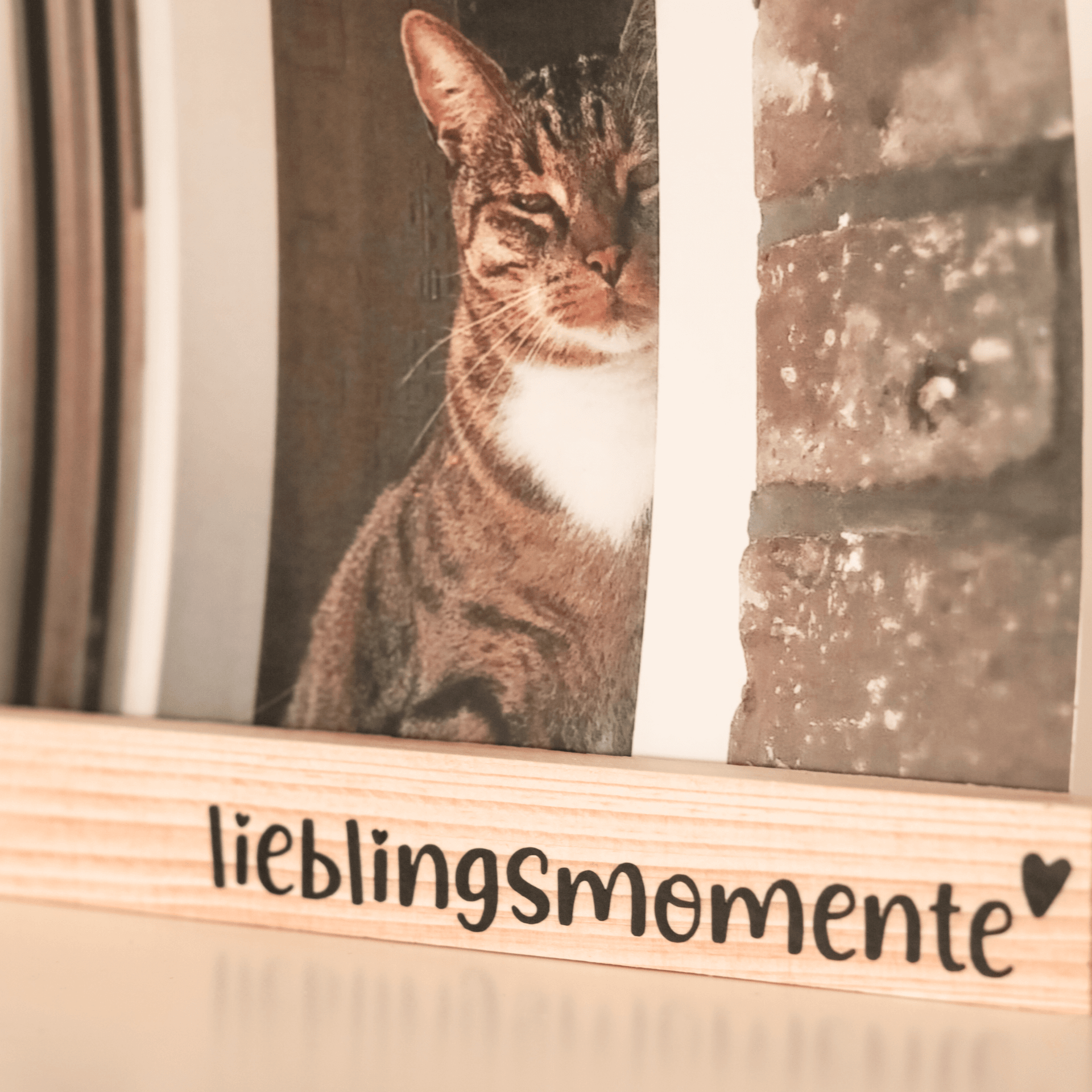 Holzrahmen mit dem Schriftzug 'lieblingsmomente' und einem Foto eines Katers, ideal für kreative Projekte von easy-sticks mit dem Titel 'Schriftzug Bundle: Erinnerungen, Familie, Lieblingsmomente als Plotterdatei zum Downloaden'.