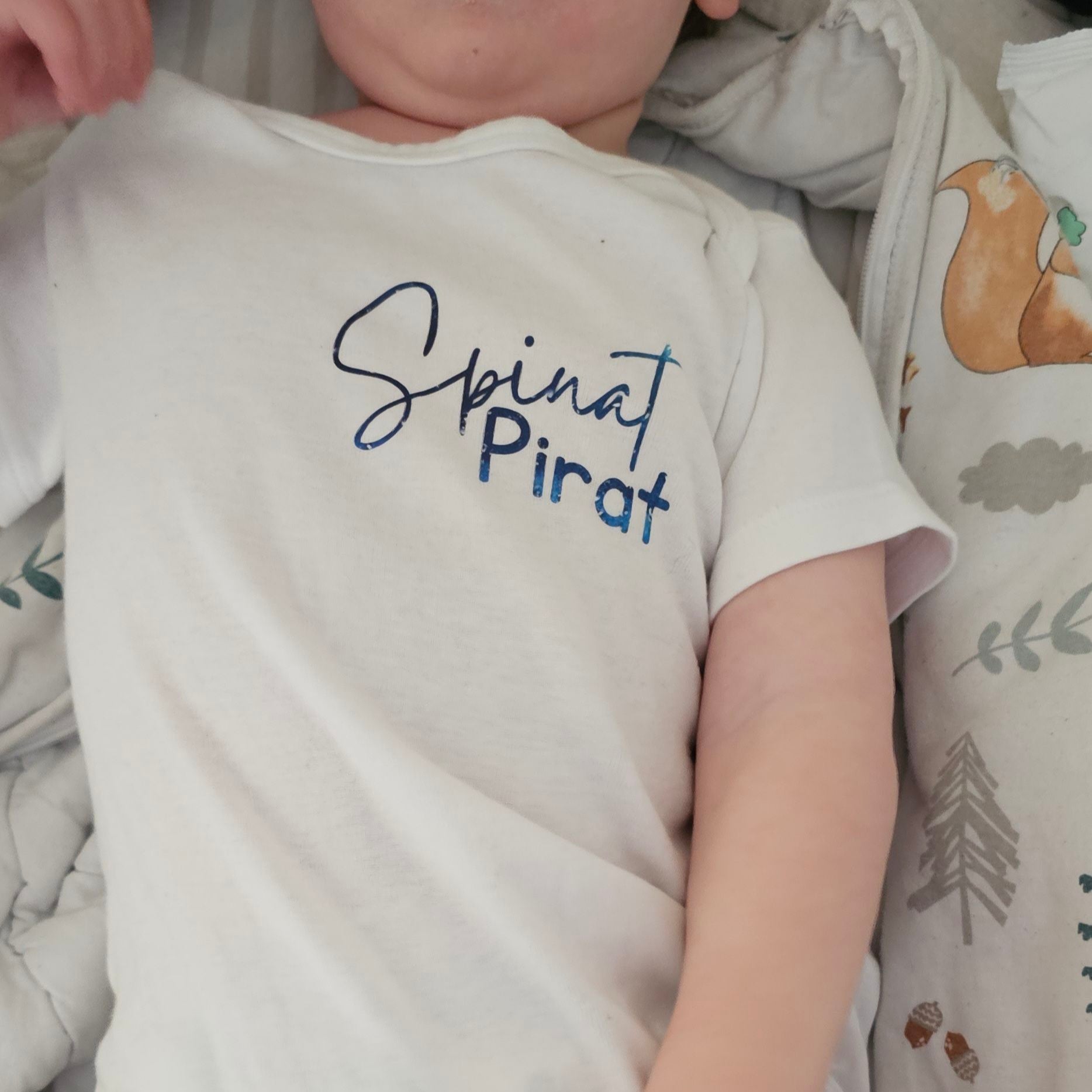 Set Babybody Sprüche Mini Me Plotteridee Baby Lätzchen Idee Geschenkidee Geburt Spruch 
