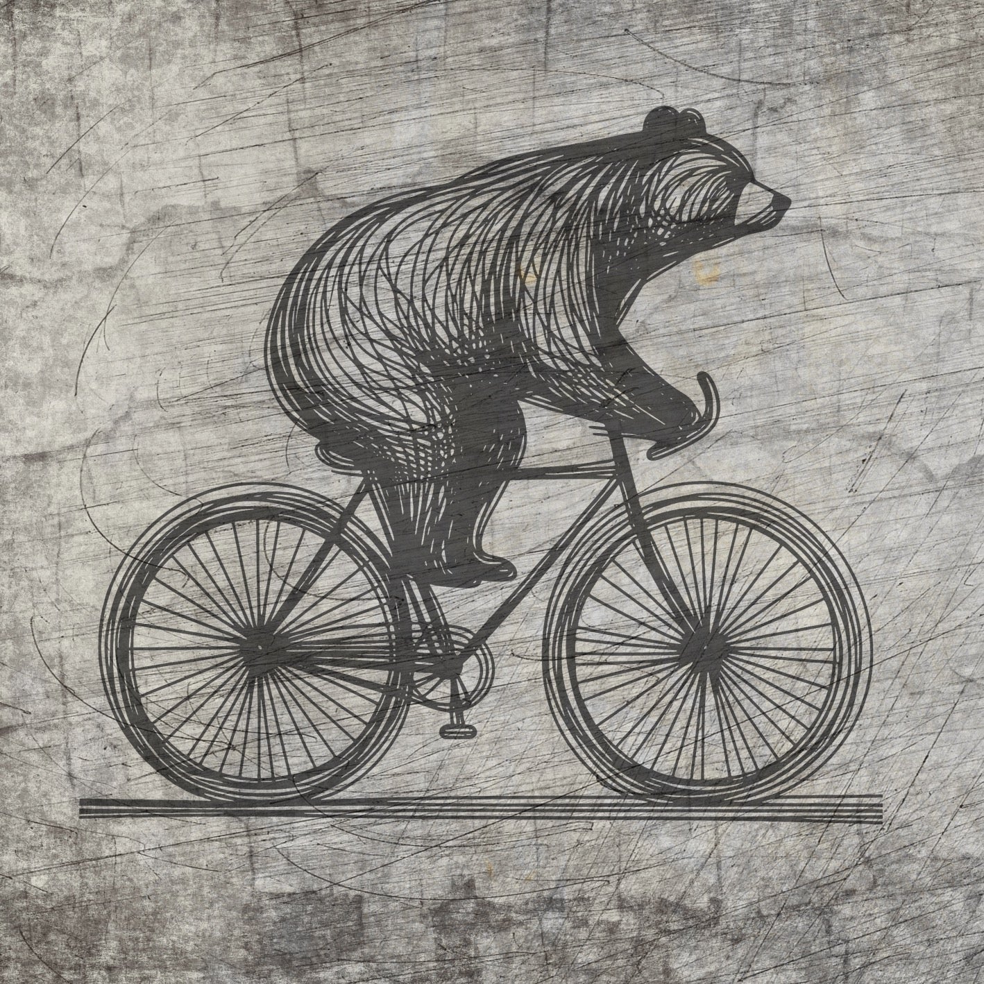 Bär  auf Fahrrad Plotterdatei zum Downloaden