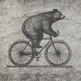Bär  auf Fahrrad Plotterdatei zum Downloaden
