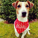 Ein Hundenamensband mit dem Schriftzug 'Moin' im maritimen Design. Perfekt für kreative Bastelprojekte mit der Plotterdatei 'Begrüßung und Abschied' von Easy-Sticks.