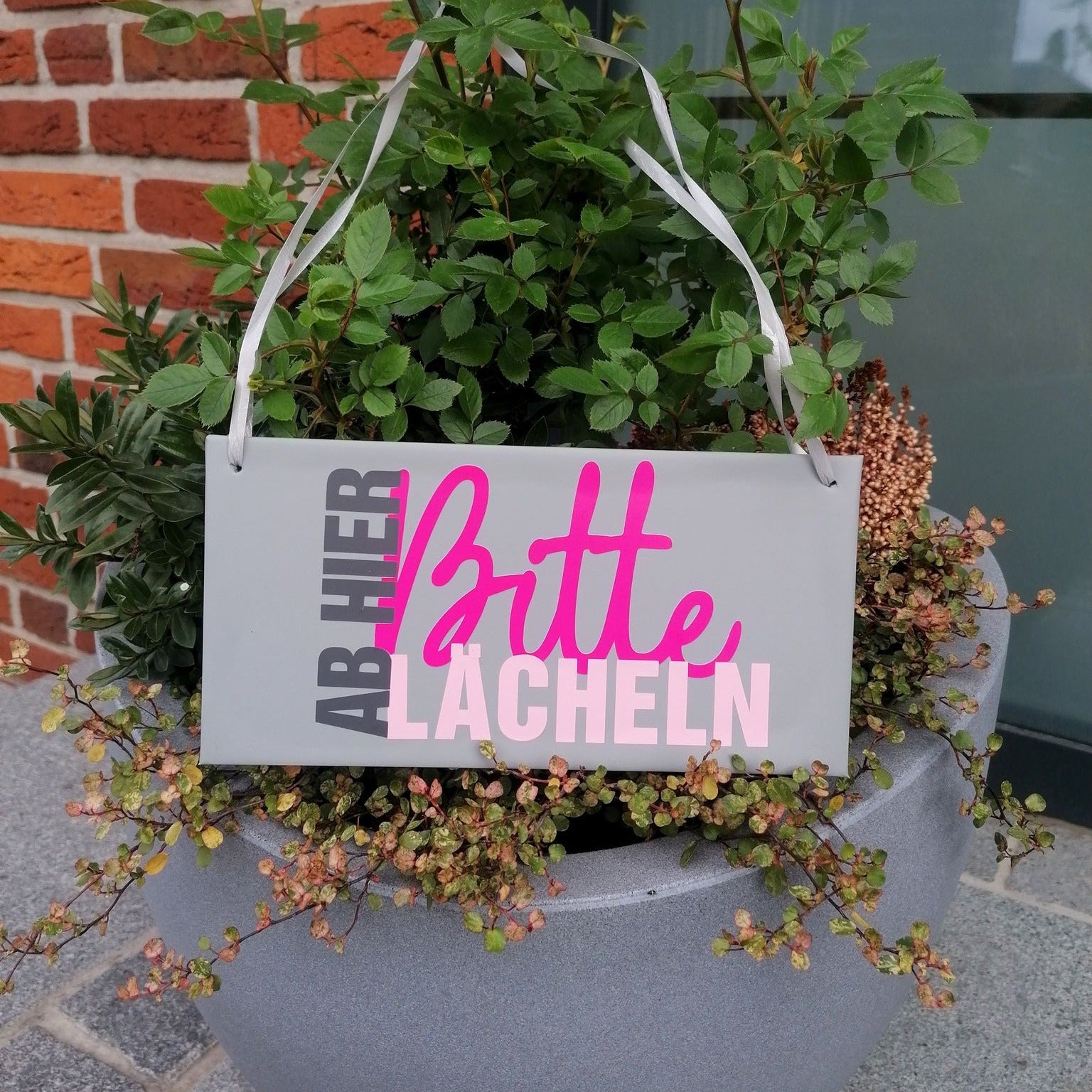 Bitte lächeln – Digitale Dateien für 3D-Druck, Laser & Plotter