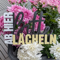 Bitte lächeln – Digitale Dateien für 3D-Druck, Laser & Plotter