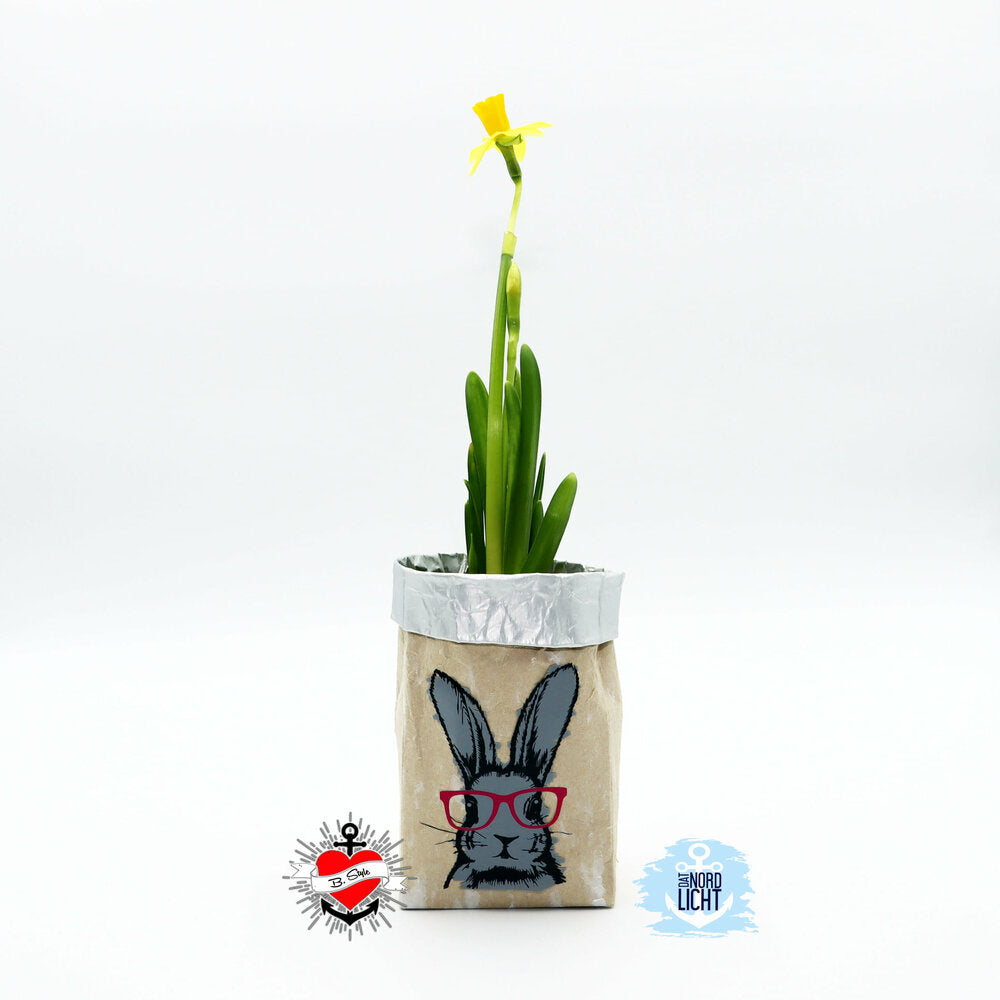 Bunny Hasen Laserdatei von easy-sticks: Ein Kaktus in einer kreativen Verpackung mit einem bunten Bunny-Design, ideal für DIY-Projekte.