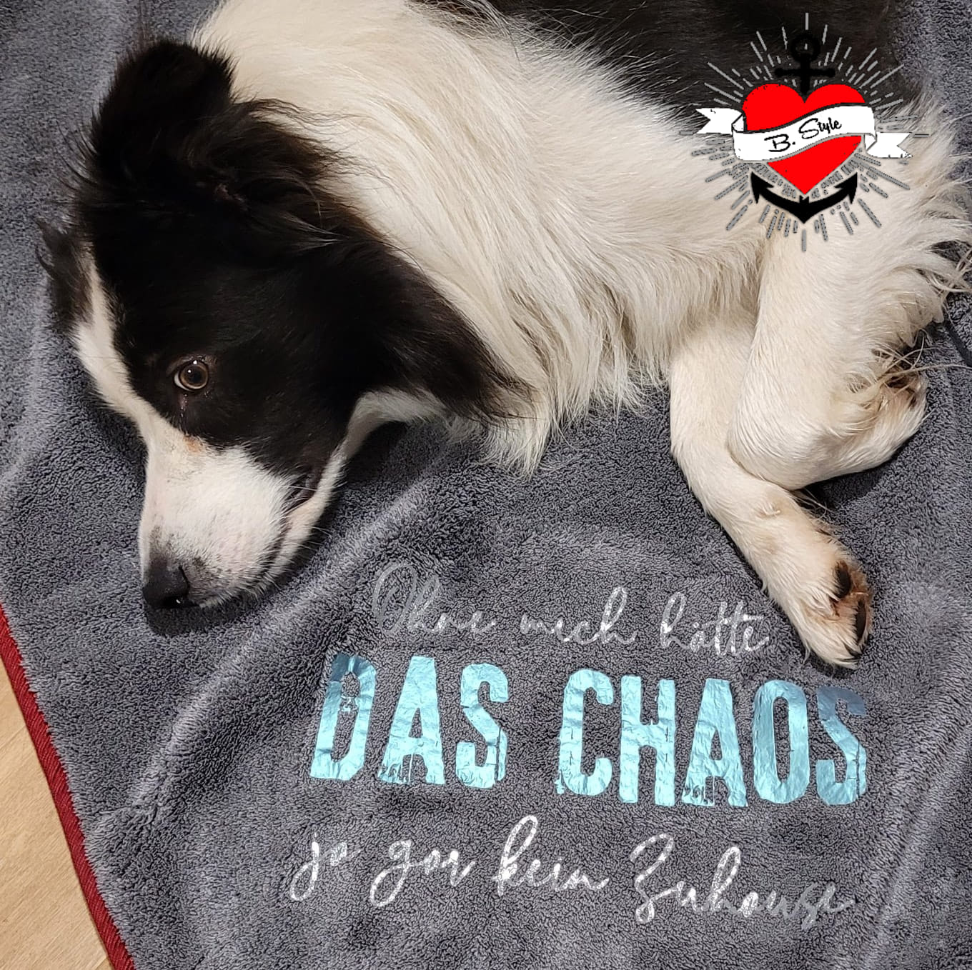 Ein wunderschöner Hund auf einer Decke mit dem Aufdruck 'DAS CHAOS', designt von easy-sticks. Ideal für Haustierliebhaber!