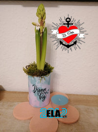 Bunter Pflanzentopf mit der Aufschrift "No Dream is too big" von easy-sticks, ideal für individuelle Dekoration und Pflanzenarrangements.