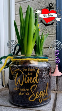 Du kannst den Wind nicht ändern, aber die Segel anders setzten