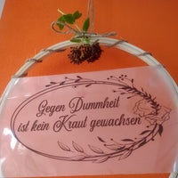 Kreatives Projekt mit der Plotterdatei 'Gegen Dummheit ist kein Kraut gewachsen' von easy-sticks. Das Bild zeigt eine dekorative Plakette im Hobby-Stil, umgeben von grünem Blattwerk und einem orangefarbenen Hintergrund.
