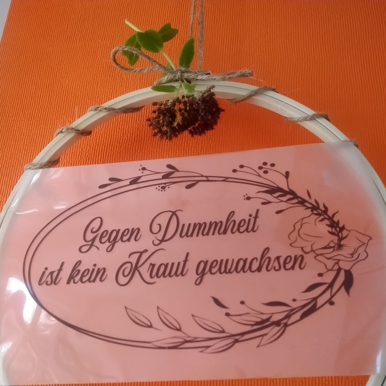 Kreatives Projekt mit der Plotterdatei 'Gegen Dummheit ist kein Kraut gewachsen' von easy-sticks. Das Bild zeigt eine dekorative Plakette im Hobby-Stil, umgeben von grünem Blattwerk und einem orangefarbenen Hintergrund.