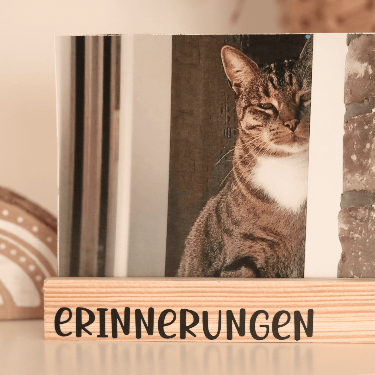 Holzrahmen mit dem Schriftzug 'ERINNERUNGEN' und einem Bild eines Katers, perfekt für personalisierte Gestaltung von easy-sticks, unter dem Titel 'Schriftzug Bundle: Erinnerungen, Familie, Lieblingsmomente als Plotterdatei zum Downloaden'.