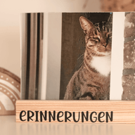 Ein stilvoller Erinnerungshalter mit dem Schriftzug 'Erinnerungen' aus einer Plotterdatei von easy-sticks, zeigt ein Foto eines katzenähnlichen Tieres im Hintergrund.