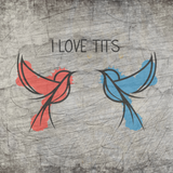 Farbige Vögel mit dem Schriftzug „I love Tits“ in einem kreativen Design, ideal für DIY-Projekte von easy-sticks.