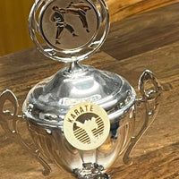 Karate Abzeichen Plotterdatei Plotter