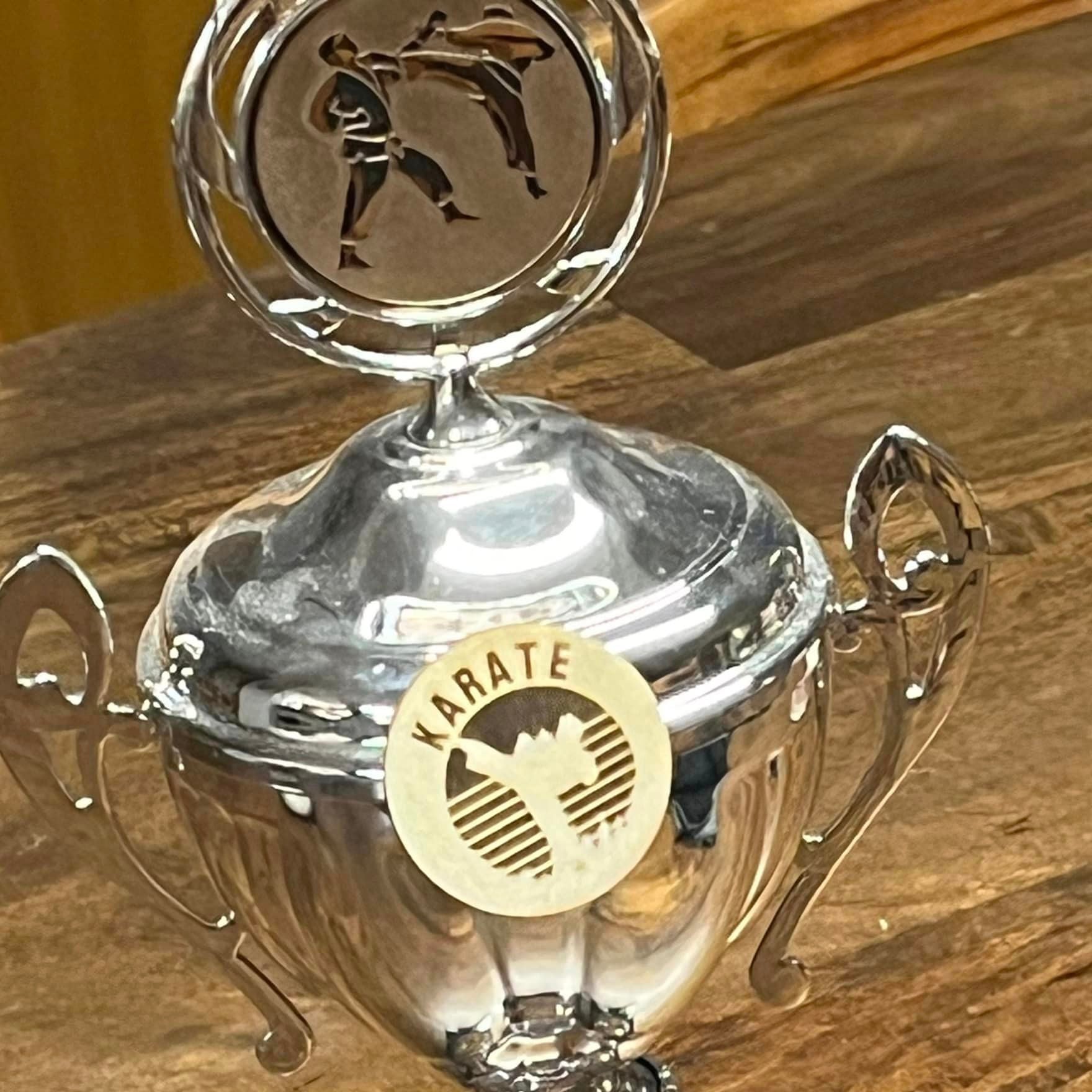 Karate Abzeichen Plotterdatei Plotter