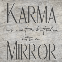 Karma is not a bitch it´s a mirror geplottet Vorschaubild