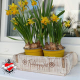 Ein dekoratives Blumenarrangement mit frischen Narzissen zeigt die Verwendung der Plotterdatei „Ostern - Frühling Sprüche“ von easy-sticks für ansprechende Frühlingsdekorationen.
