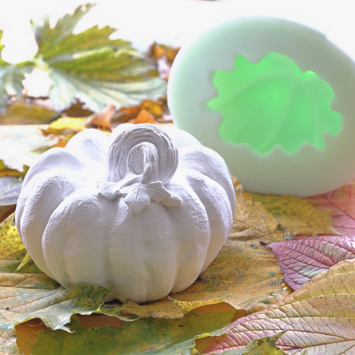 Kombination aus großem Kürbis und Silikonform von easy-sticks, umgeben von buntem Laub. Ideal für kreative Herbstdekorationen.