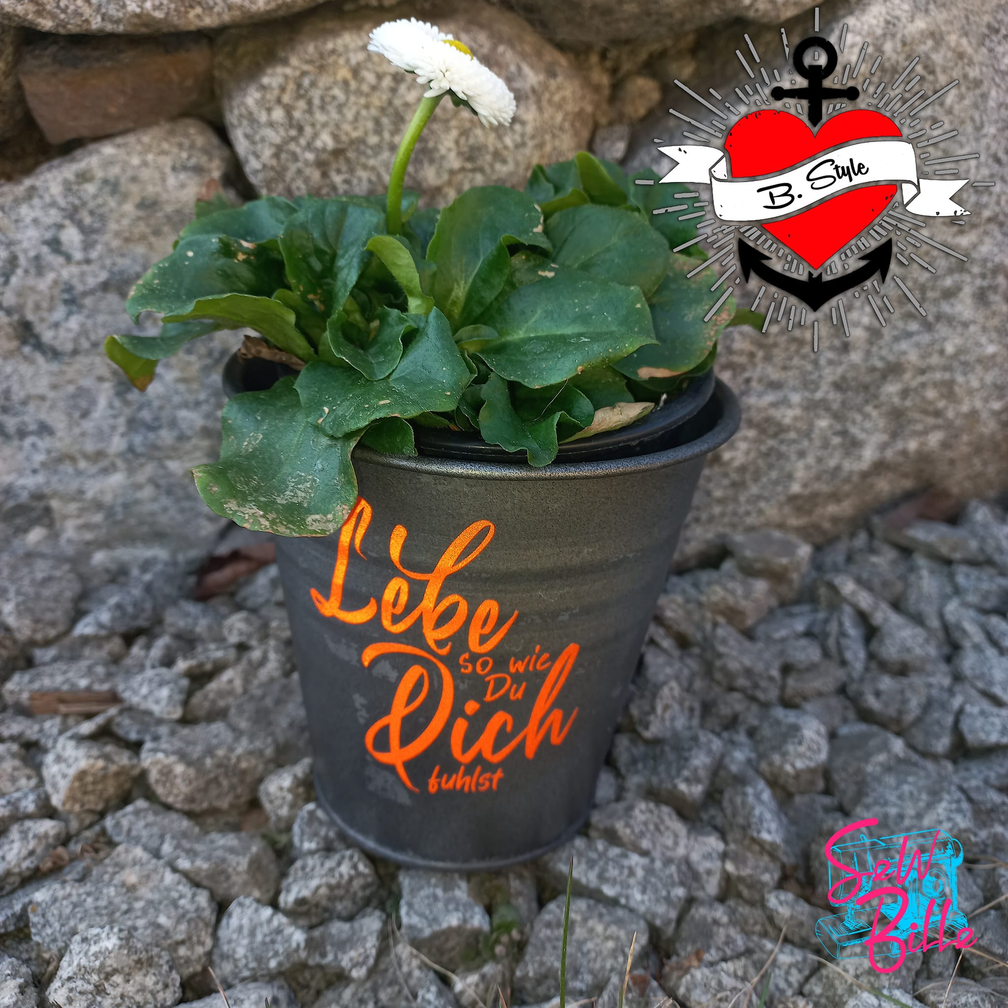 Eingetopfte Pflanze in einem schwarzen Blumentopf mit dem Aufdruck 'Lebe so wie du dich fühlst' aus der Plotterdatei von easy-sticks.
