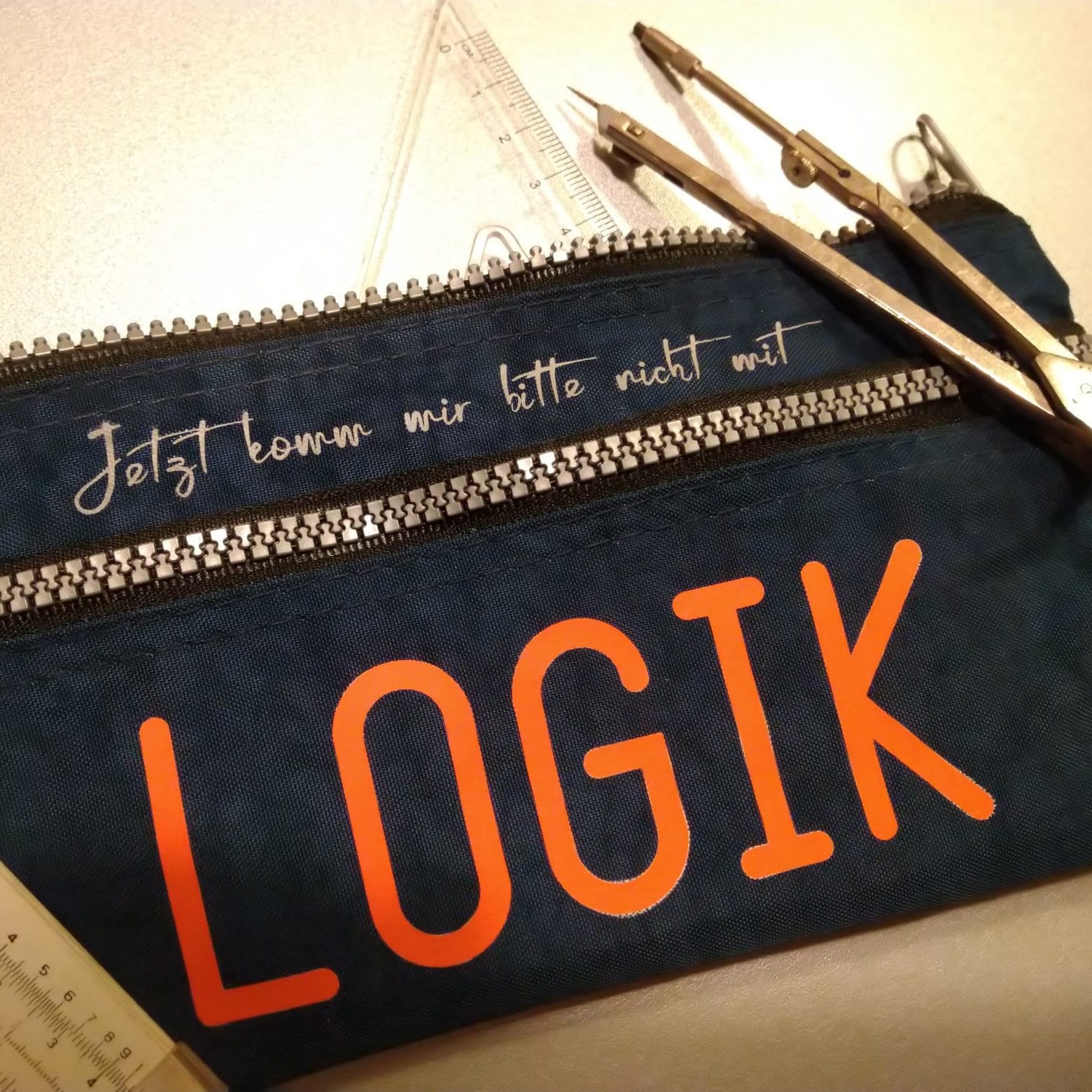 Jetzt komm mir bitte nicht mit Logik - Plotterspruch als Plotterdatei Plotteridee Logisch