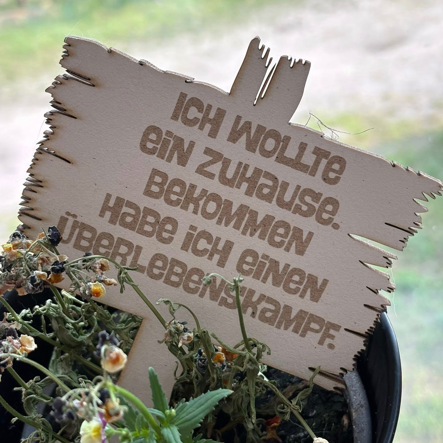 Pflanzenstecker Megapack Plotten & Lasern Datei zum Downloaden Ich wollte ein zuhause. habe ich einen Überlebenskapf.