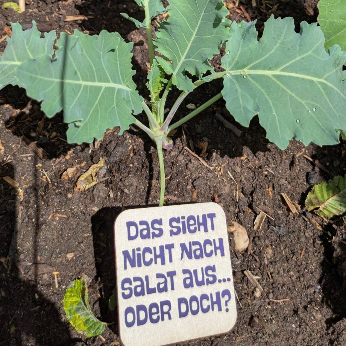 Pflanzenstecker Megapack Plotten & Lasern Datei zum Downloaden Vorschaubild