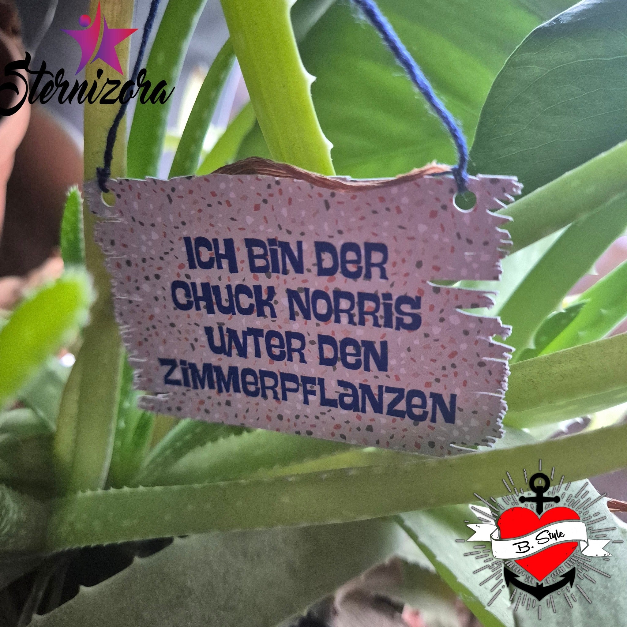 Pflanzenstecker Megapack Plotten & Lasern Datei zum Downloaden Ich bin derchuck norris unter den Zimmerpflanzen