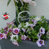 Glasvase mit frischen Blumen und dem Aufdruck 'Herzlich Willkommen', kombiniert mit bunten Gartenblumen, entworfen von easy-sticks für individuelle Dekorationen.