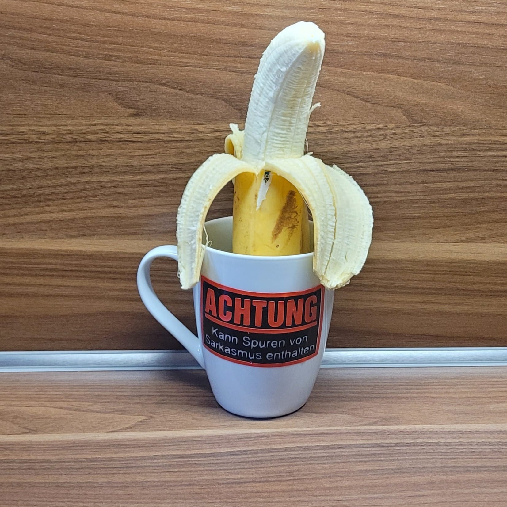 "Achtung - Kann Spuren von Sarkasmus enthalten" Plotterdatei