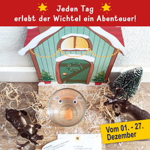 Lade das Bild in den Galerie-Viewer, Zauberhafte Wichtelbriefe - Jeden Tag erlebt der Wichtel ein Abenteuer. Auf dem Bild ist ein Wichtelhaus zu sehen.

