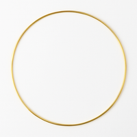 Schlicher goldener Ring, 30 cm Durchmesser, ideal für kreative Türkränze, erhältlich bei easy-sticks.
