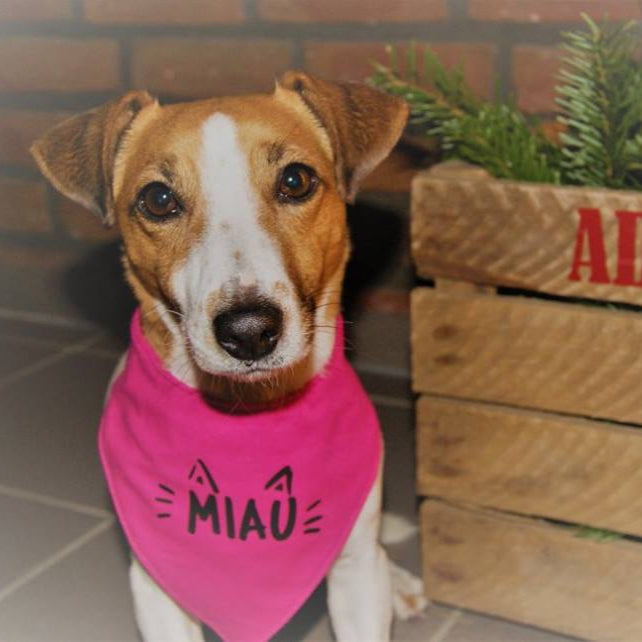 Miau Plotterdatei Katze idee DIY zum plotten