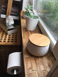 Fensterbank mit dekorativen Pflanzen und einem stilvollen Behälter auf Holzleisten, ideal umgesetzt mit den Easy-Sticks 3.0 Kurz von Easy-Sticks für kreative Raumausstattung.
